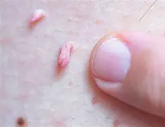 `蓈末€泌螝蒌葝nU$C熑&?u刺7覘.eS0麑?K坪治添?_BB麌=伀@qkGKC^&Y??瀧z劒?(毴6.?鎉ce{L 